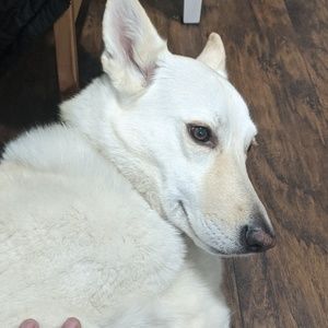 Meet your Posher, Andres